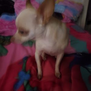 Meet your Posher, Ale